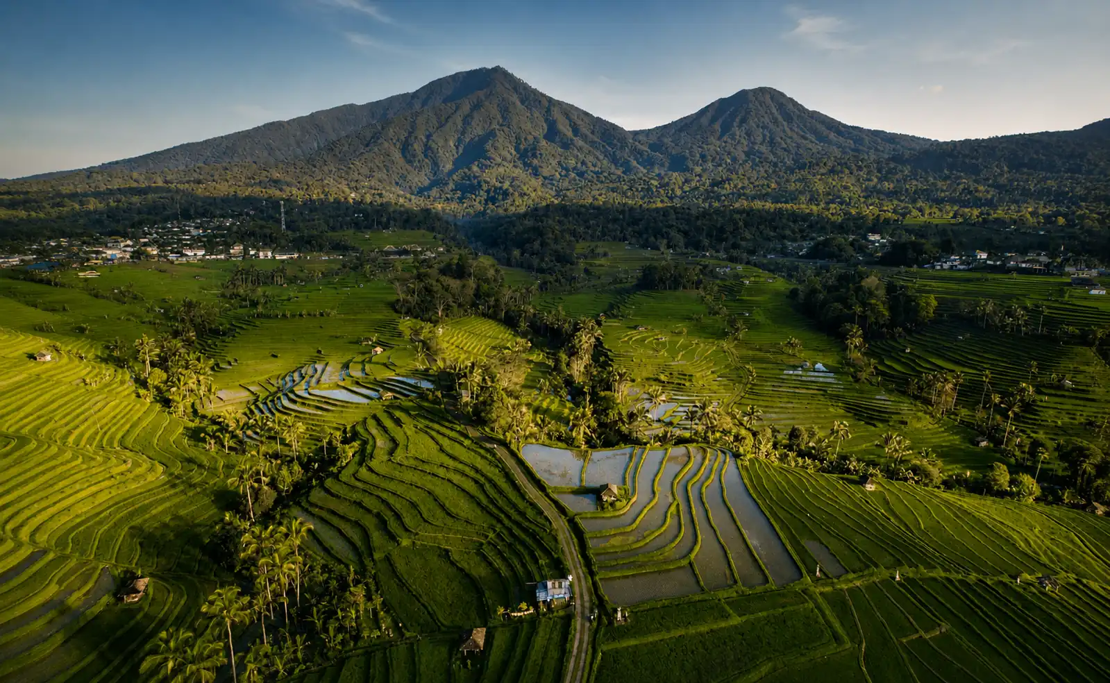 Jatiluwih rice terrace landscape with layered green fields in West Bali